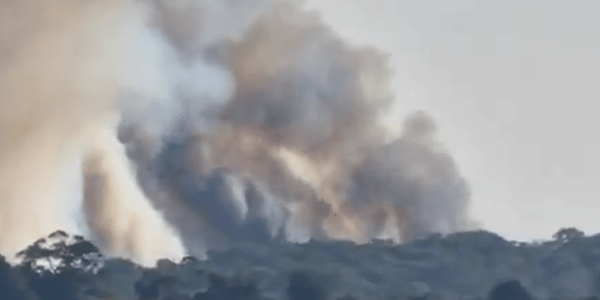 'Leave your cars if you want to stay alive' drivers told as van fire erupts into wildfire next to major A-road