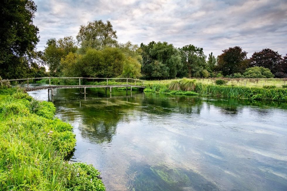 Hampshire