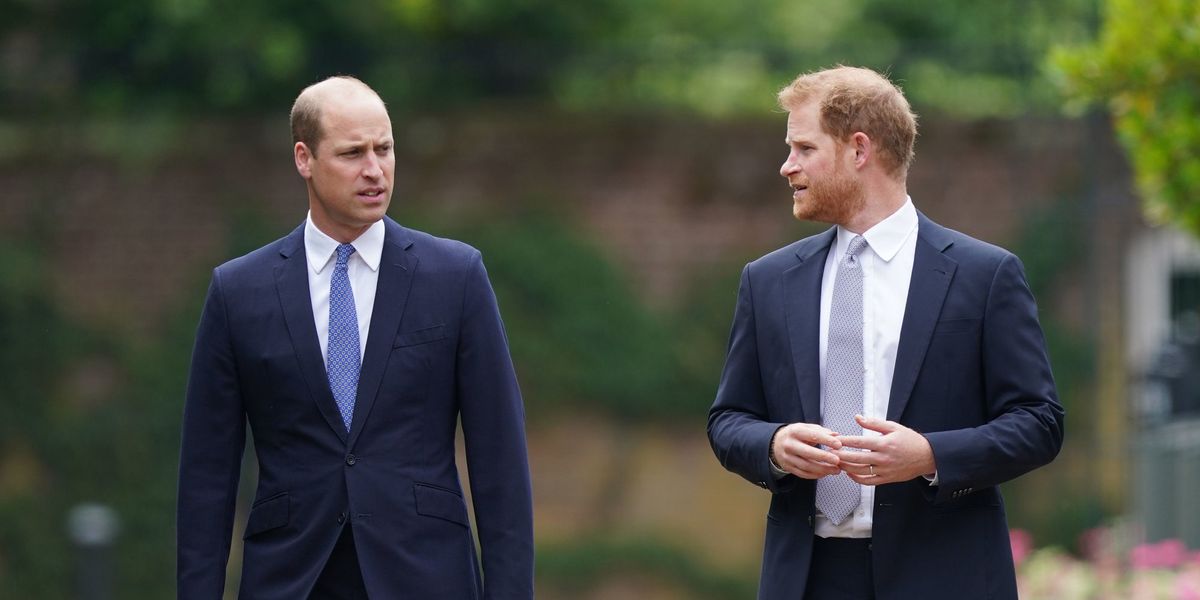 Harry and William 'could reunite' as Diana Award plans major anniversary tribute