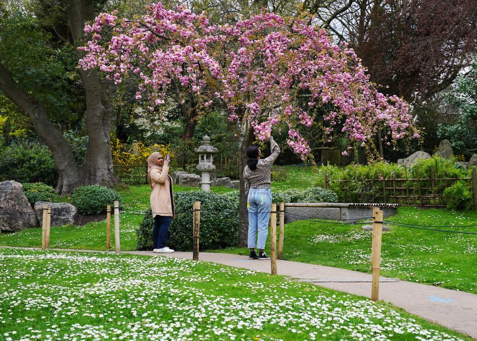Holland Park