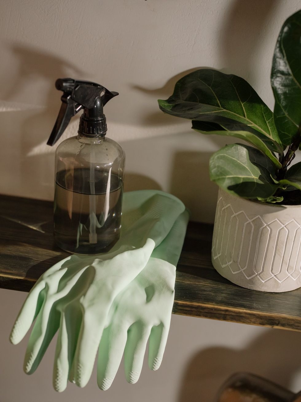 Homemade vinegar cleaning solution