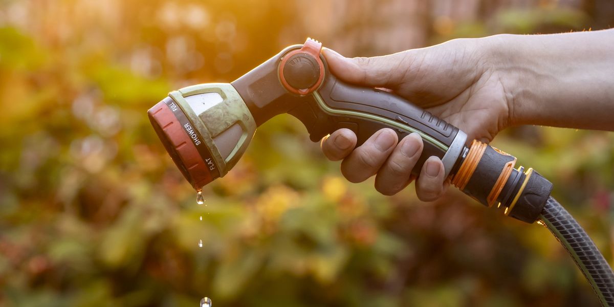 Wessex Water imposes hosepipe ban on millions of Britons for first time in 50 years