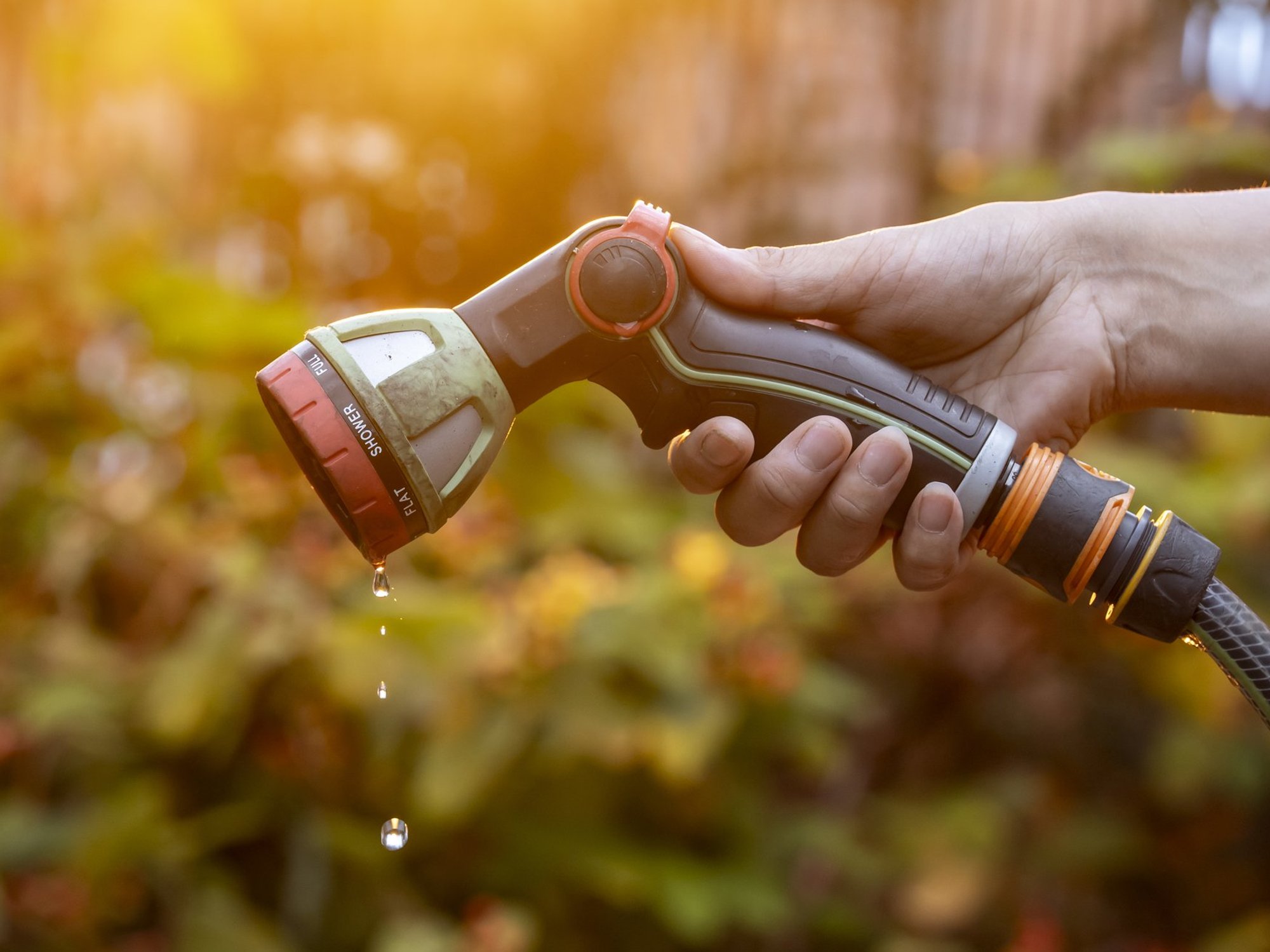 Hosepipe ban
