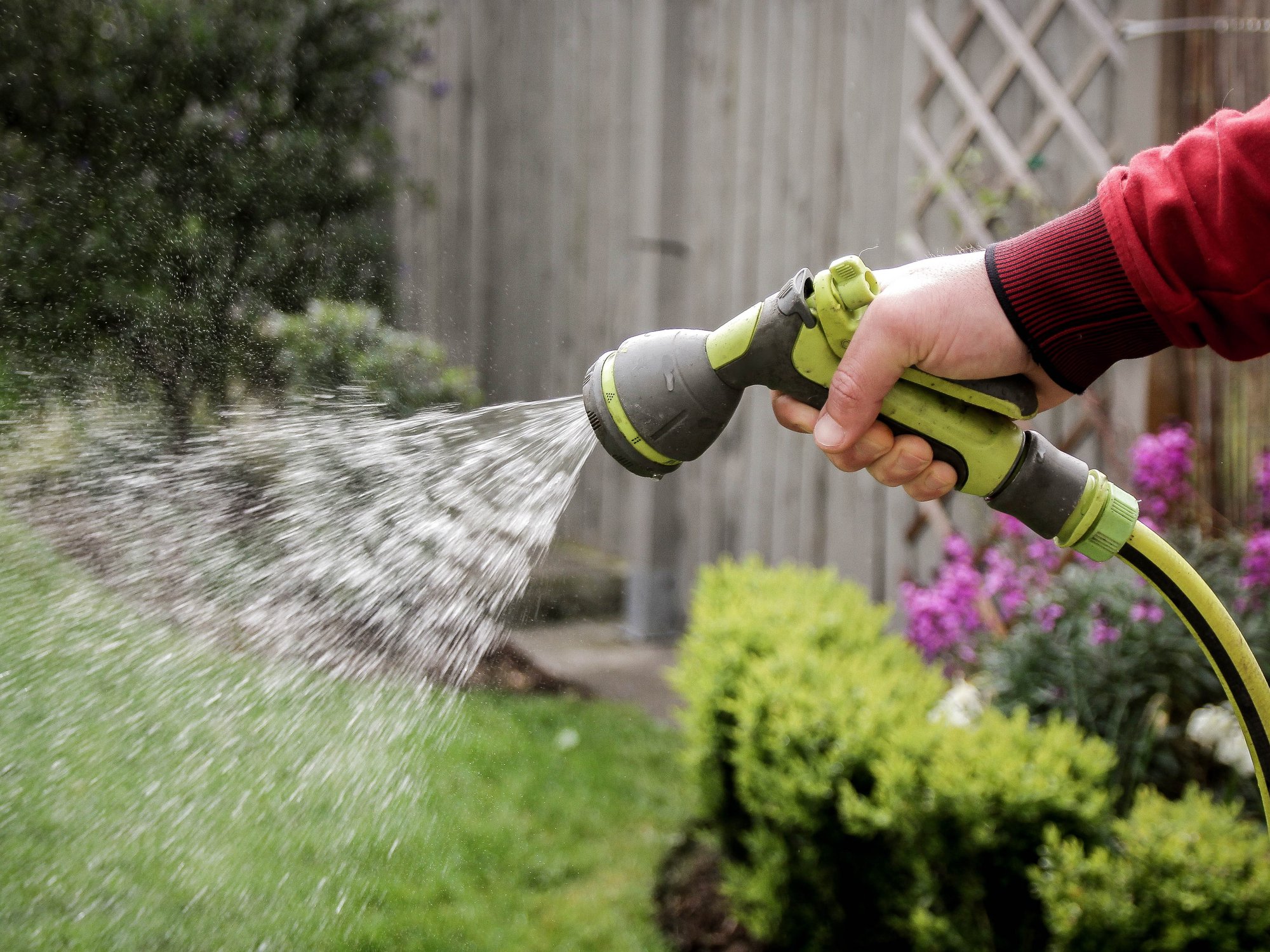 Hosepipe
