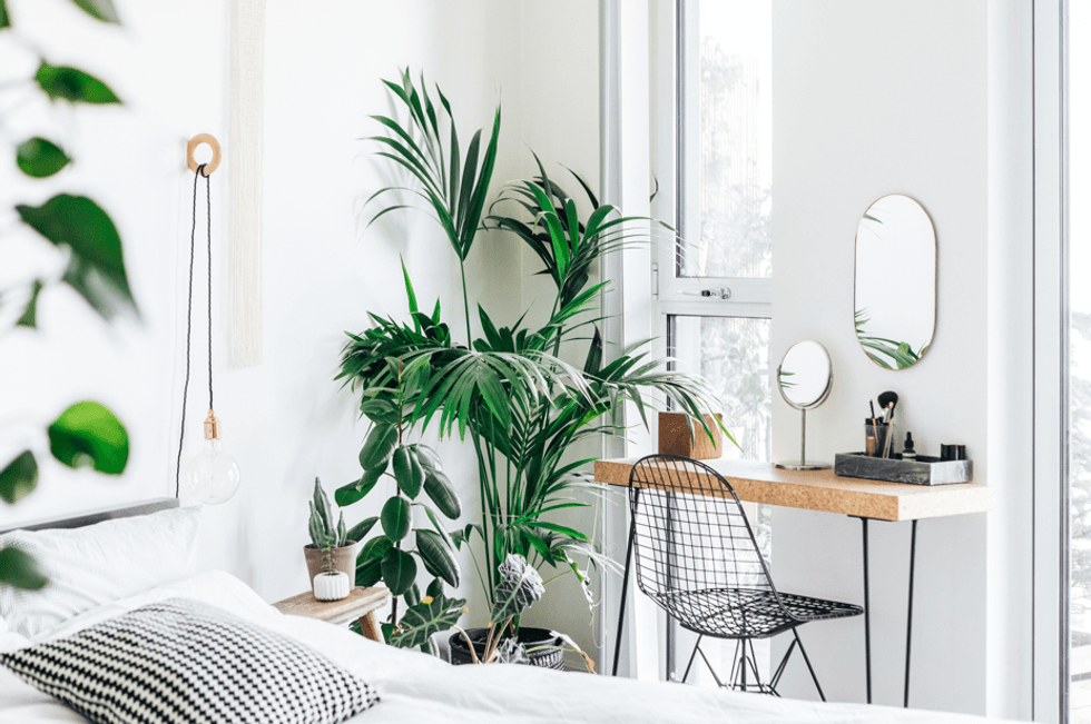 Houseplants in bedroom