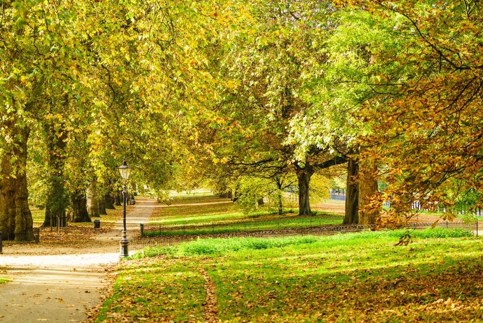 Hyde Park