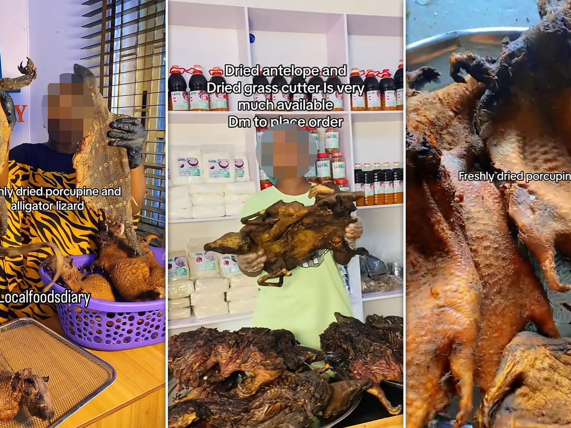 Illegal bushmeat advertised on social media