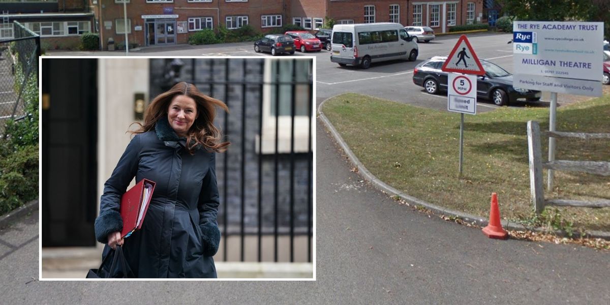 School that allowed pupil 'to identify as cat' faces government probe