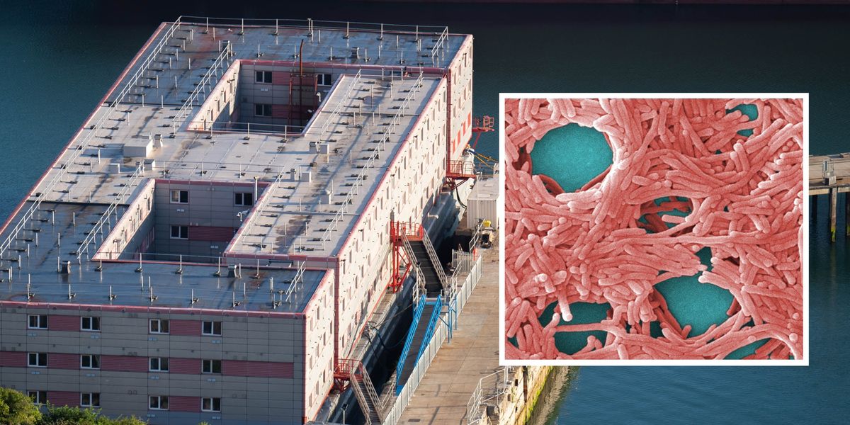Asylum seekers moved off Bibby Stockholm barge after Legionella bacteria found