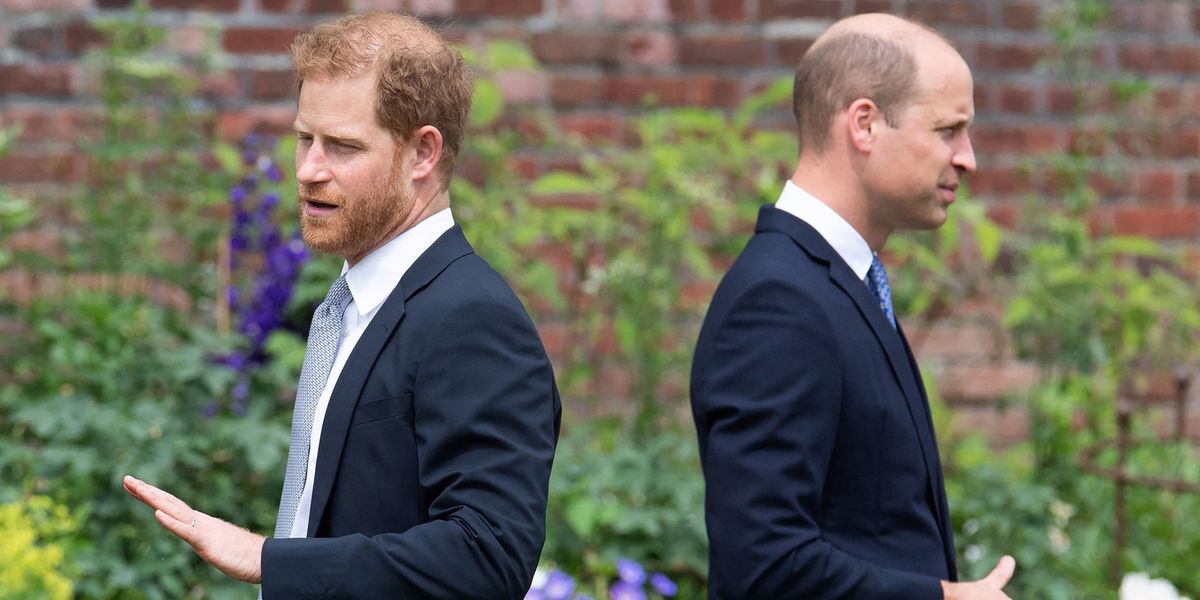 Prince William 'ignored Prince Harry's desperate attempts' to contact him - new book claims