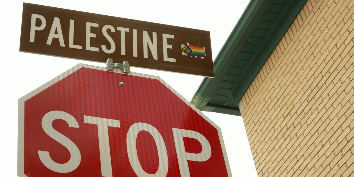 Palestine Avenue & Muslim-run councils: How America's Muslim city is an open-borders warning bell for Britain