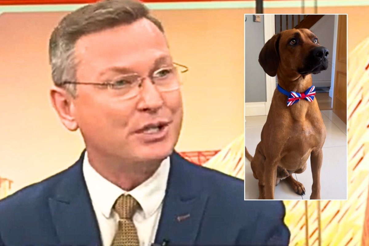 Stephen Dixon shares adorable picture of his pet dog dressed in a U...
