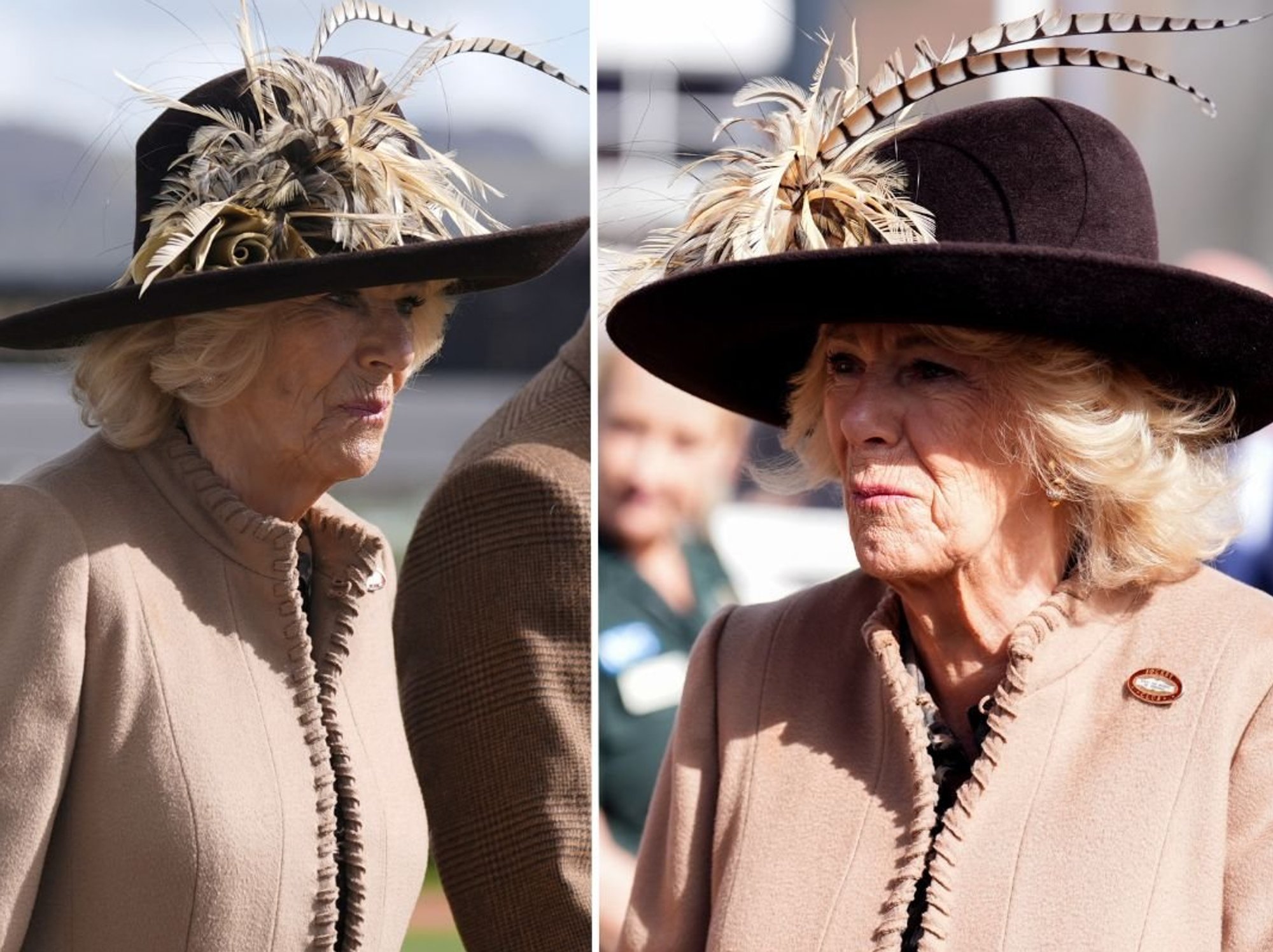 Queen Camilla arrives at Ladies Day after Cheltenham forced into U-turn over 'woke' backlash