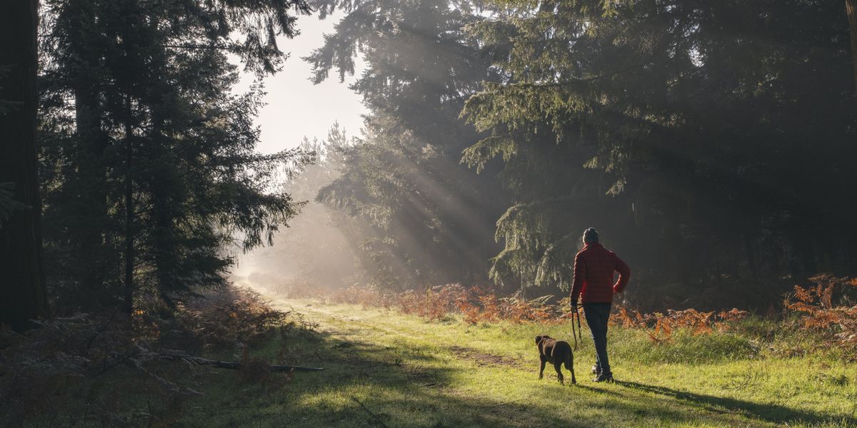 Dogs became man's best friend 5,000 years earlier than thought, new study finds