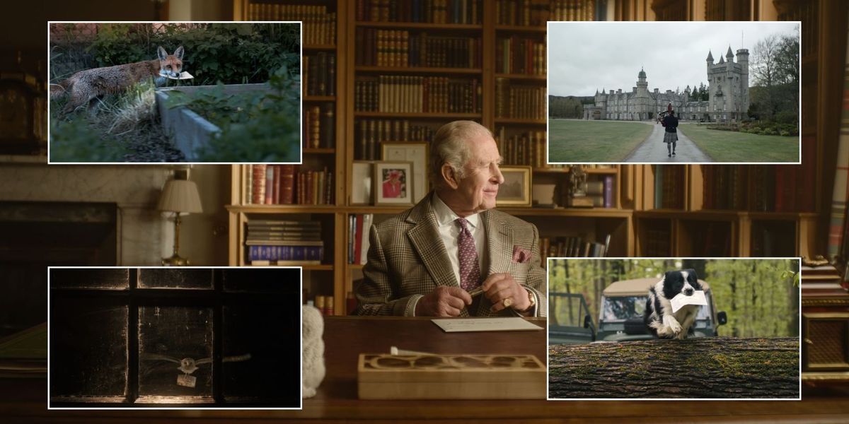 King Charles enlists help from animals to deliver David Attenborough his 100th birthday card