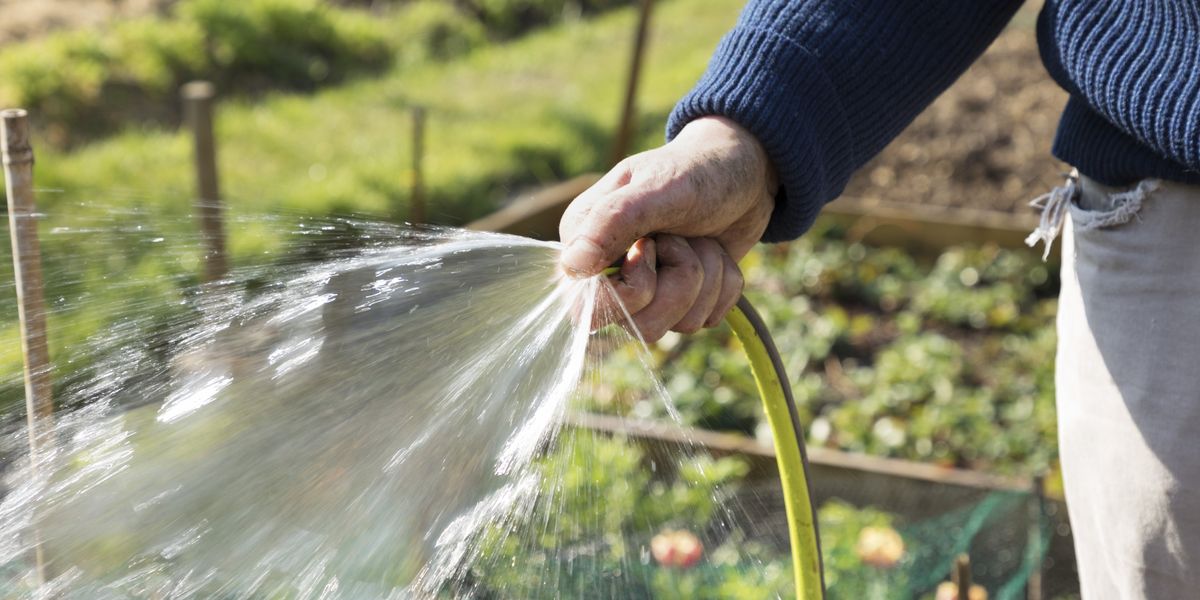 New hosepipe ban now in force as tens of millions of Britons now face fierce restrictions