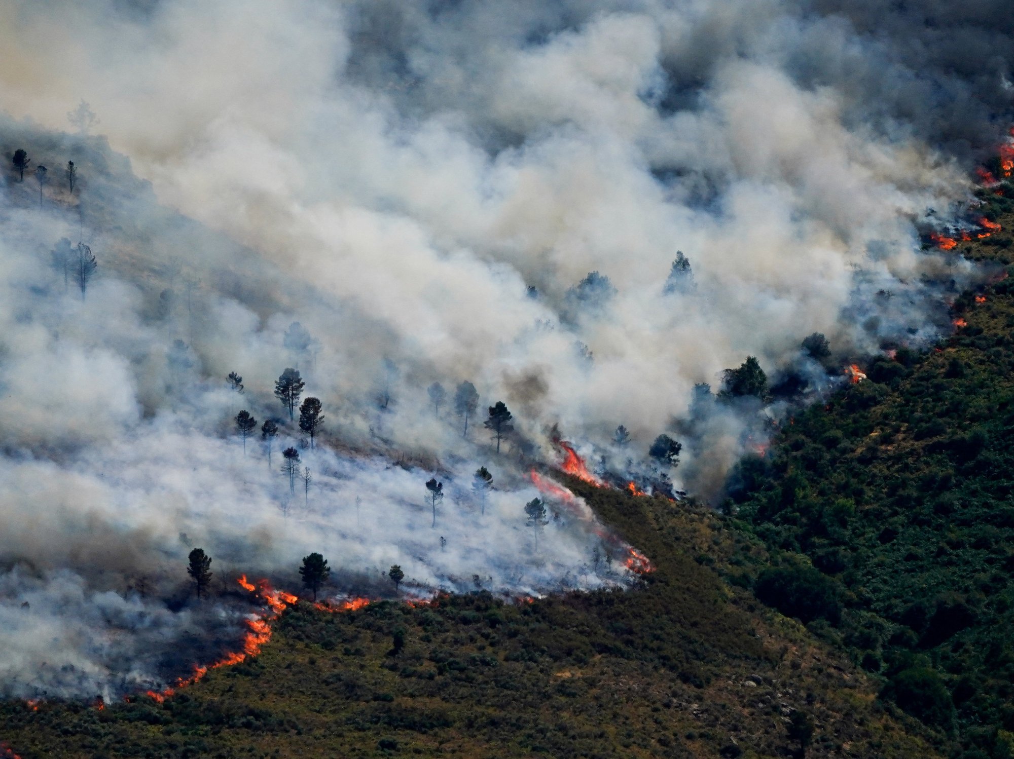 Wildfire near Madrid sparks mass evacuations as inferno rages out of control