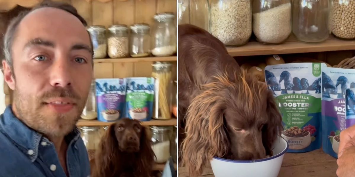 Princess of Wales's brother shares adorable video with his dog in Berkshire home