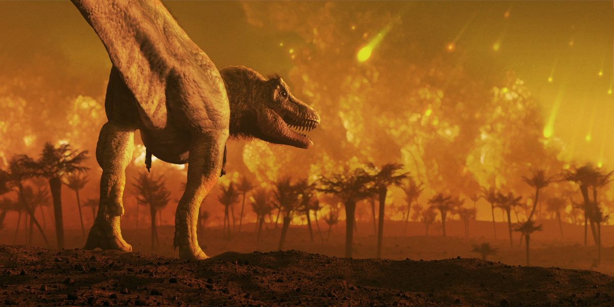 Dinosaurs were NOT wiped out by asteroid impact say scientists in bombshell new study