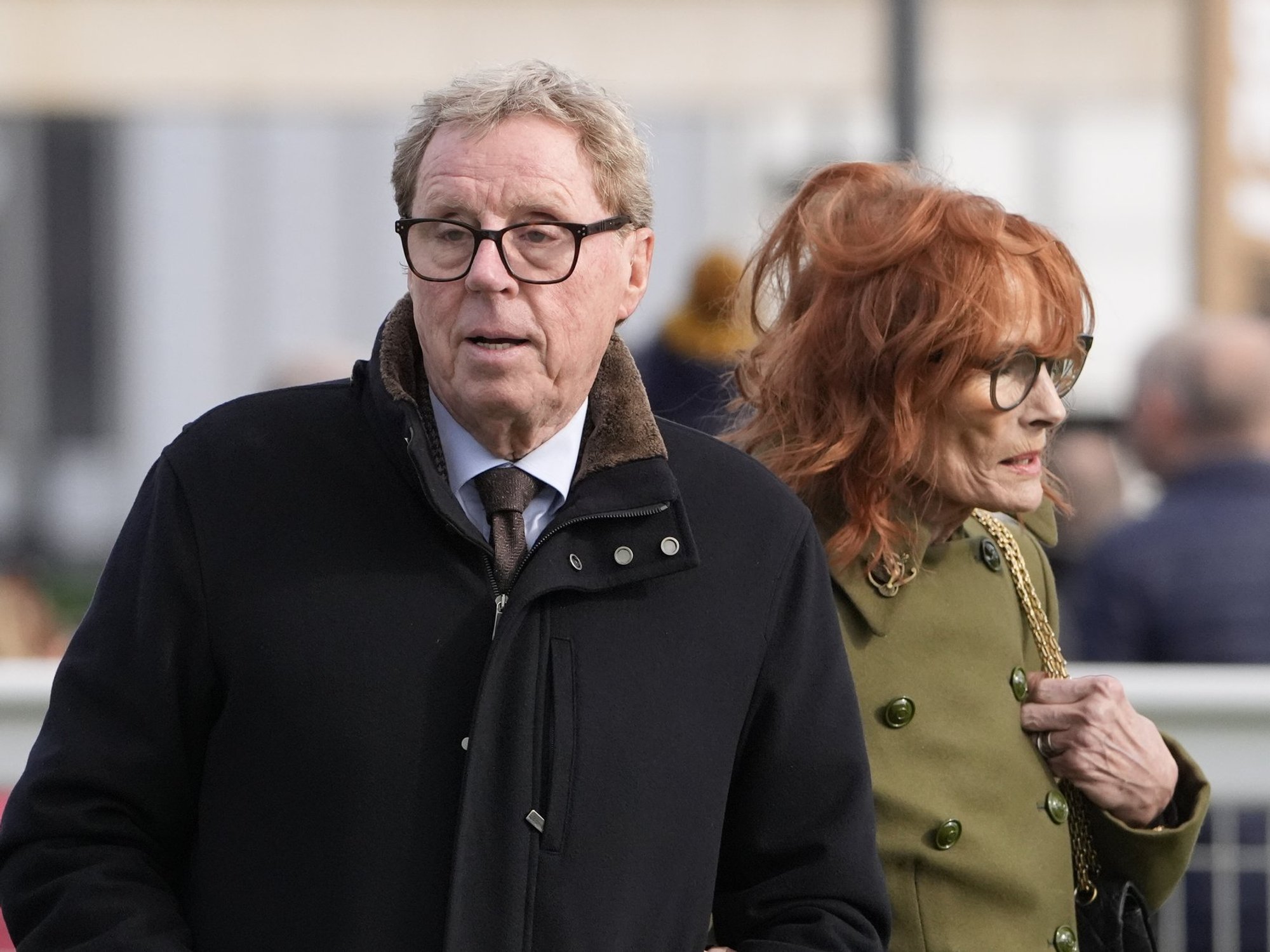 Harry Redknapp lands role in new film after row with football fan