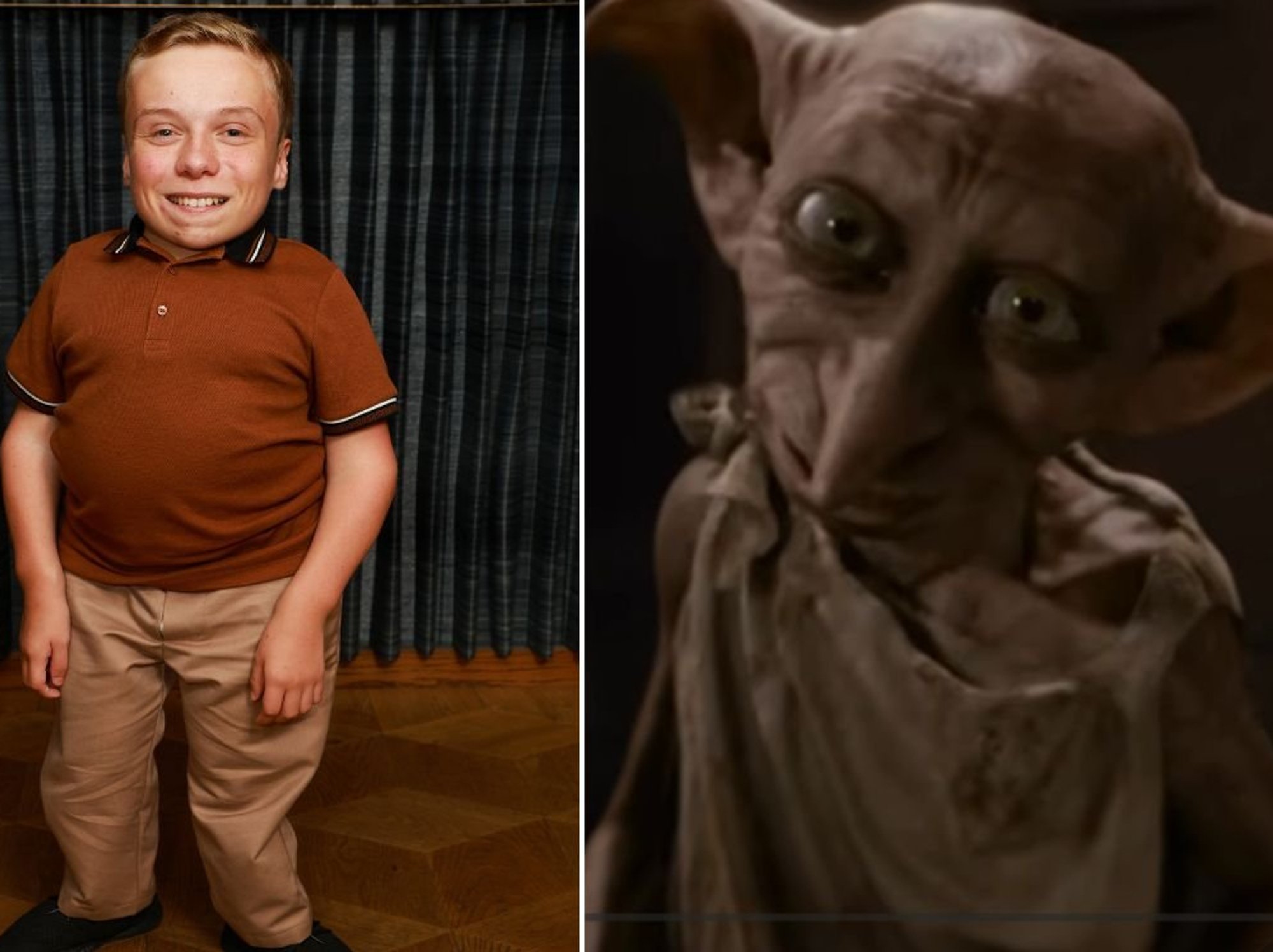 HBO Harry Potter casts BBC star as Dobby as actor beams 'over the moon to be joining the magical world'
