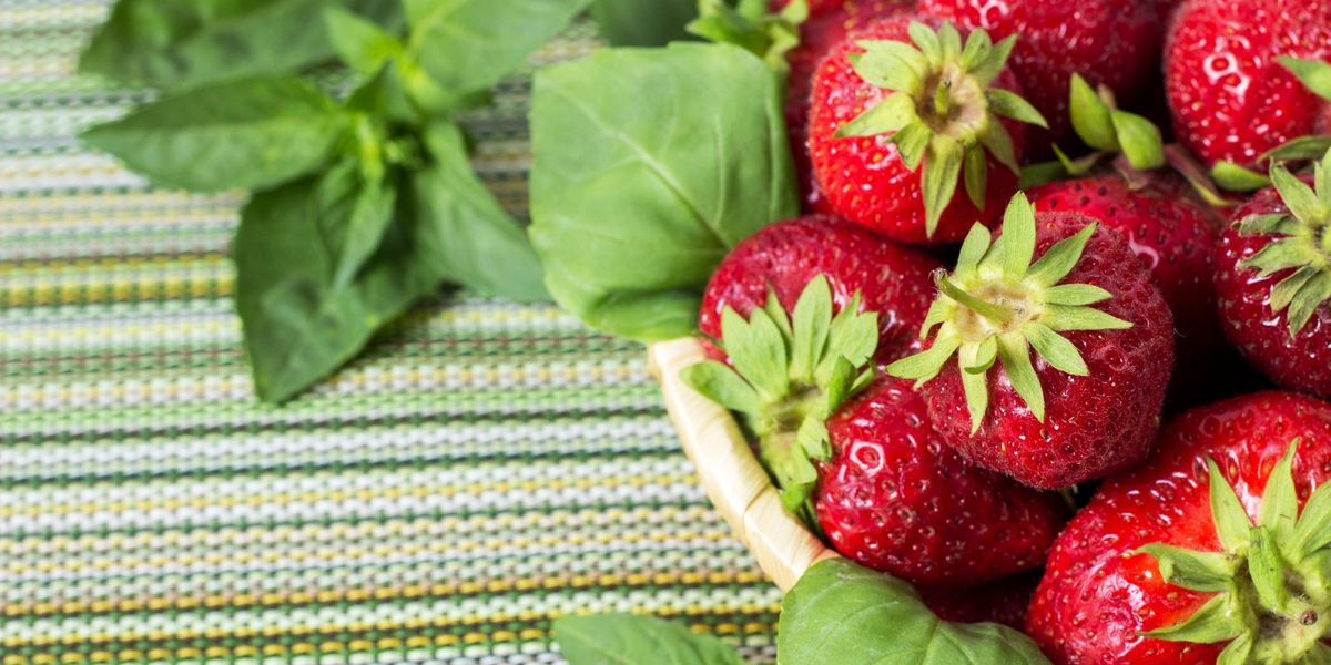 Strawberries saved for winter thanks to pioneering British invention