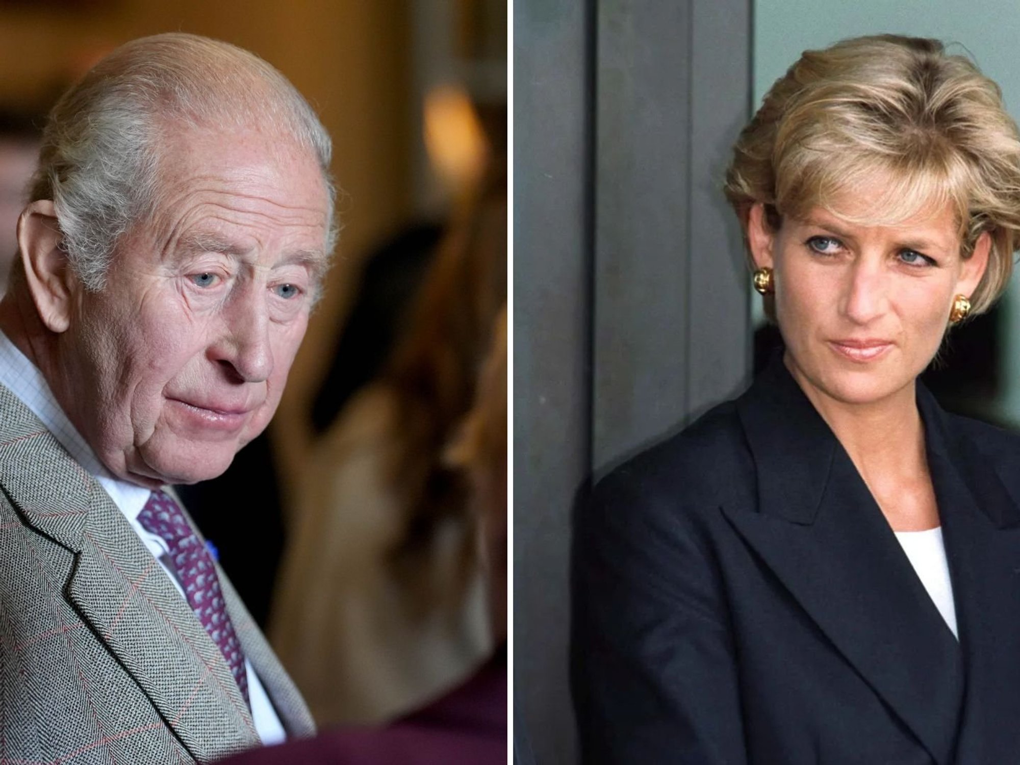 King Charles was 'giddily elated' after Princess Diana's death, bombshell book claims