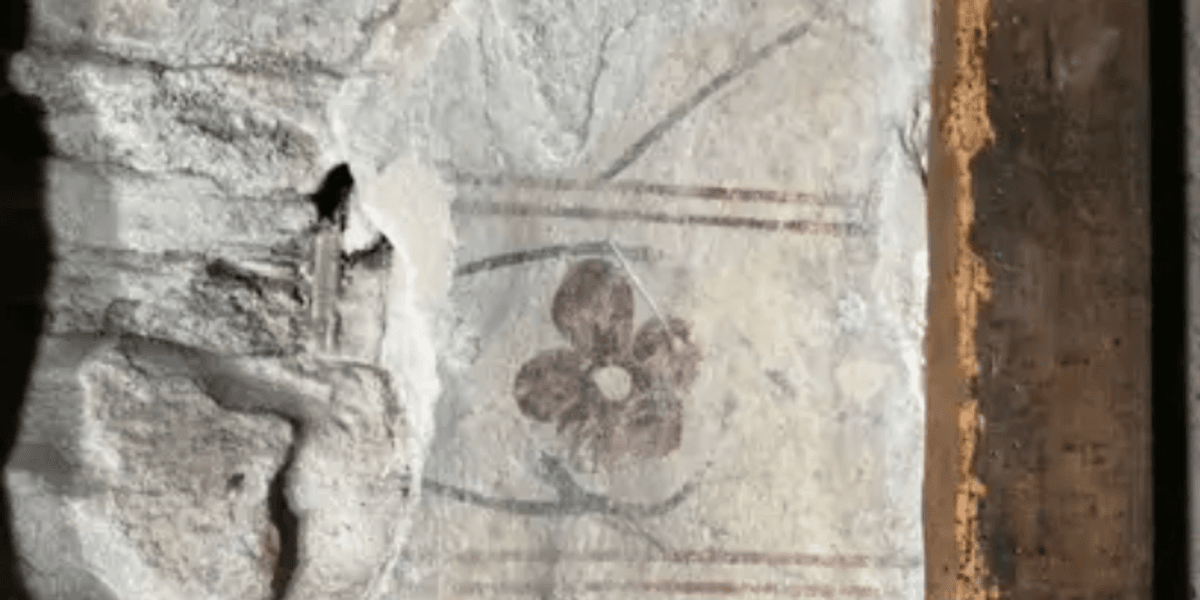 Medieval mural discovered behind castle wall during renovation work - 'Absolutely phenomenal!'