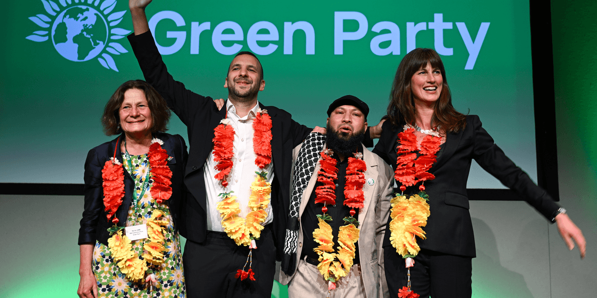 The Greens are now the largest party in my council - and their manifesto is terrifying - Arthur Reynolds