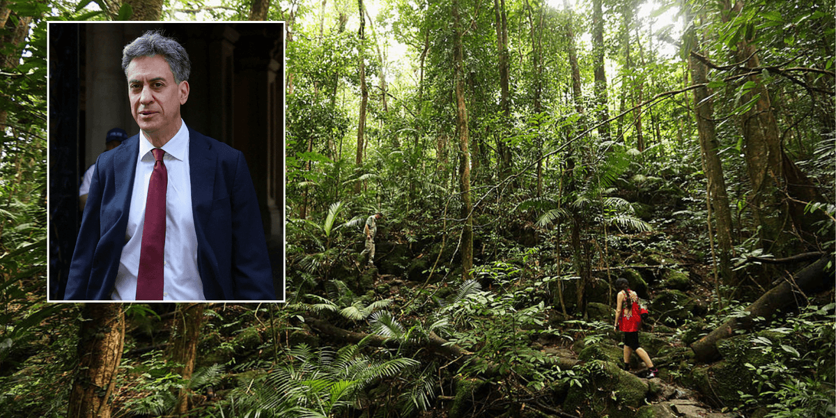 Ed Miliband's £400m rainforest fund shelved over 'optics concerns' while UK embroiled in bitter row over defence