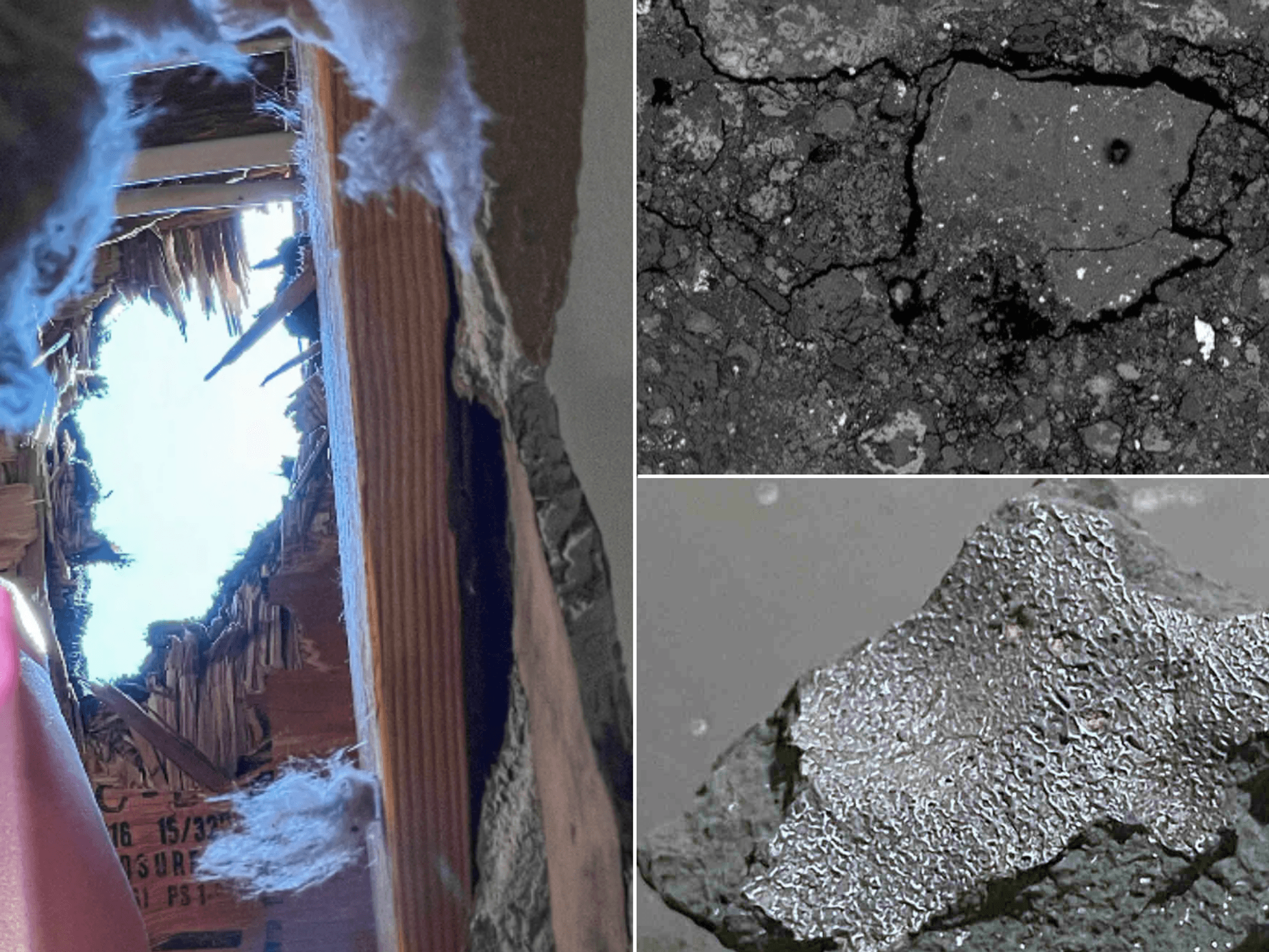 'Fireball' meteorite that smashed into family home contains ingredients of alien life