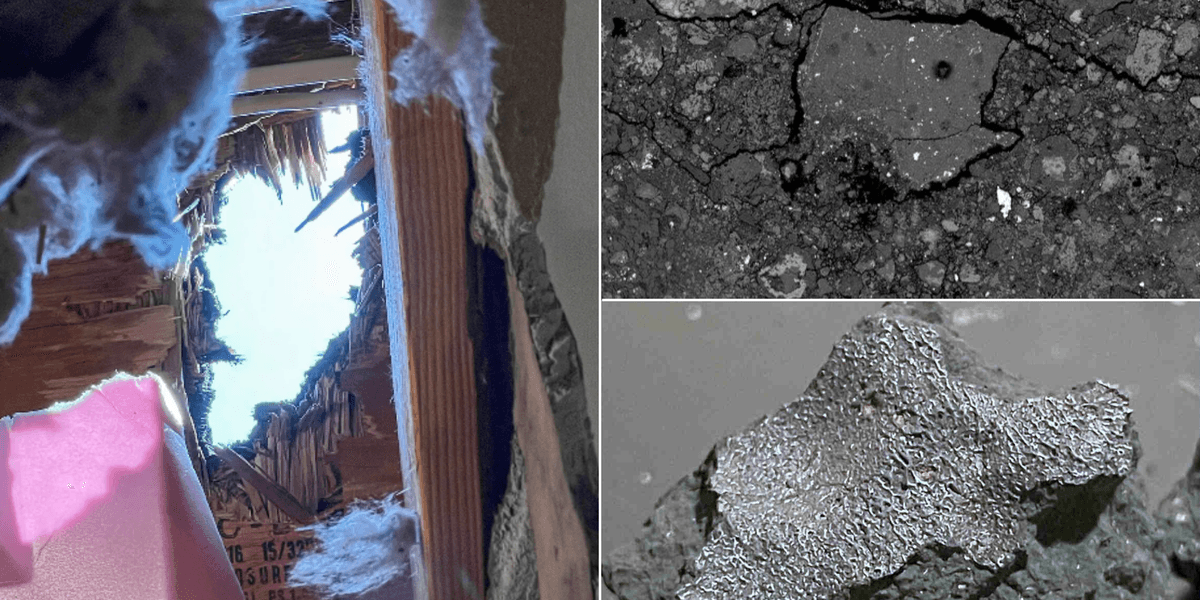 'Fireball' meteorite that smashed into family home contains ingredients of alien life