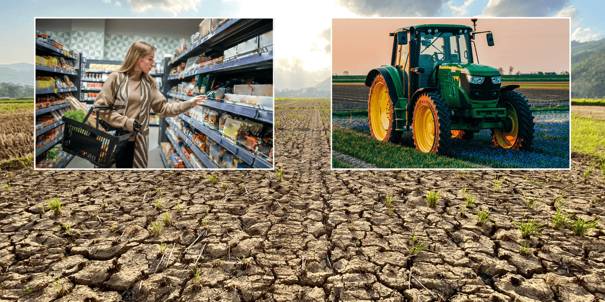Britons could be hit by supermarket food shortages as parts of England on verge of drought
