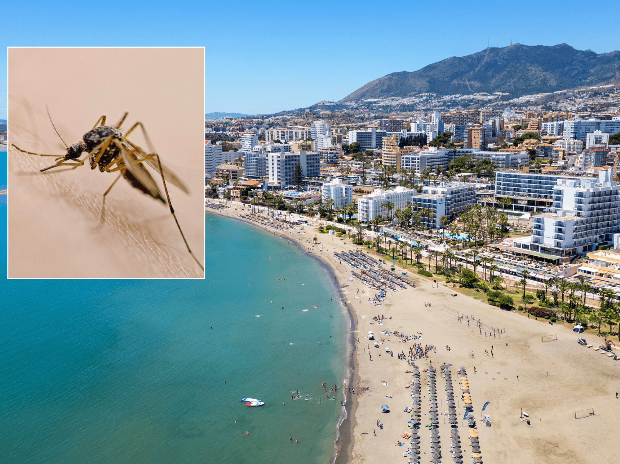 British tourists issued holiday warning as Spanish hotspots on red alert after deadly mosquito vi...