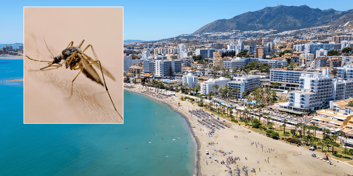 British tourists issued holiday warning as Spanish hotspots on red alert after deadly mosquito virus left several people ill