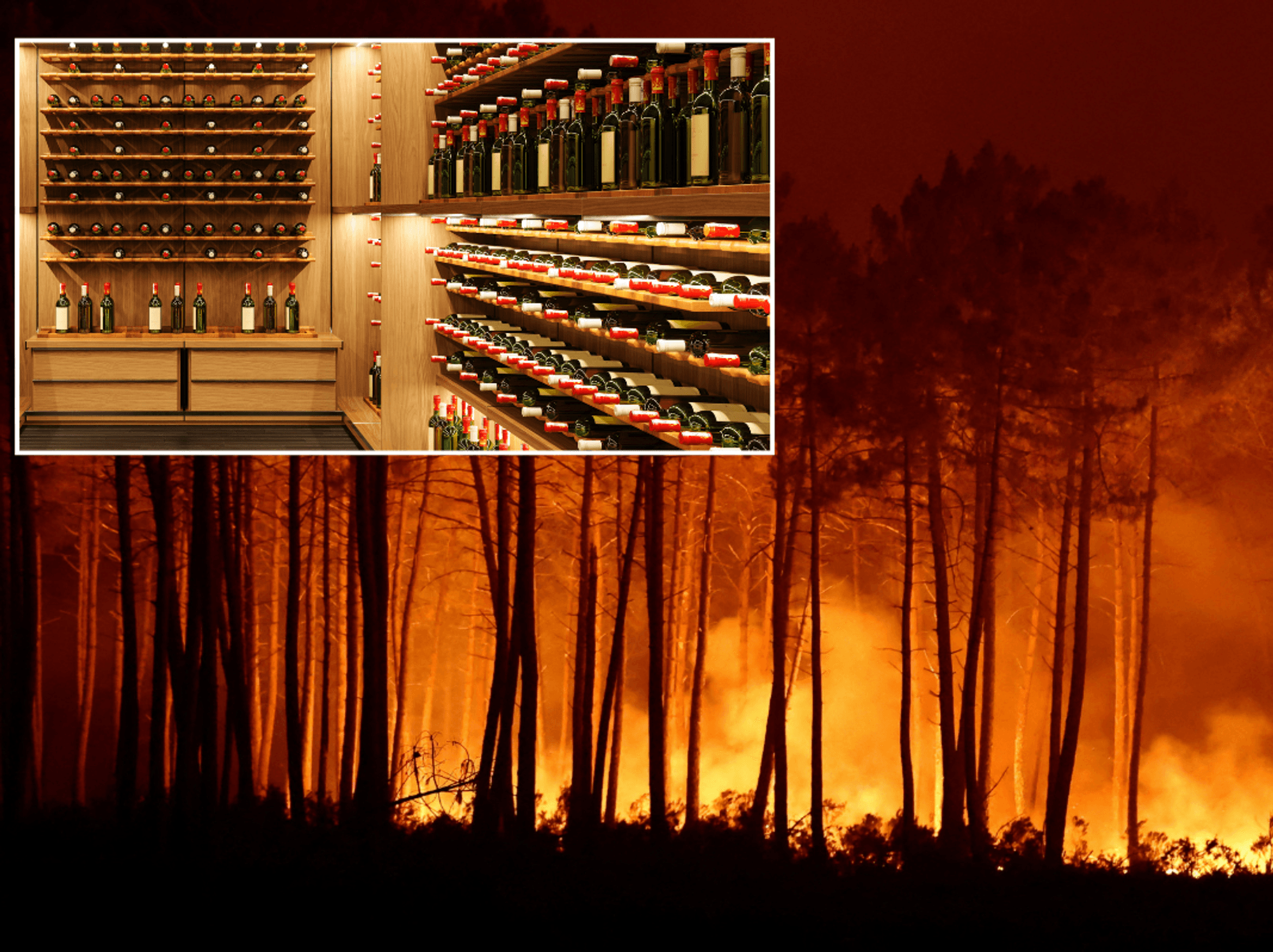 French police arrest man stealing 44 wine bottles during horror wildfires