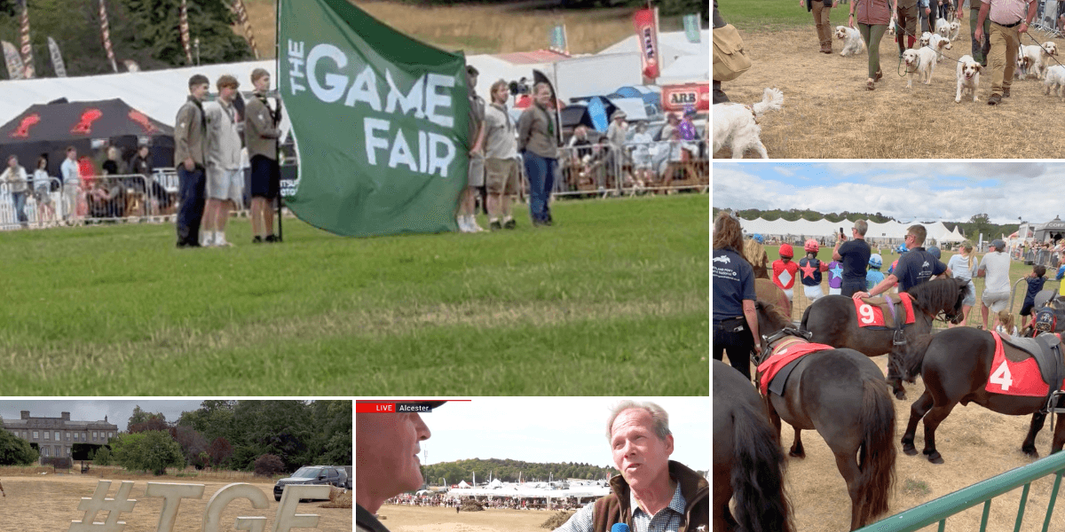 The Game Fair is all that's brilliant about rural Britain. Westminster must listen to save it