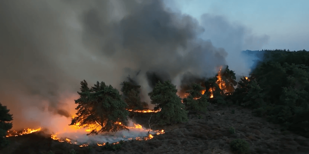 Nuclear power station on ‘high alert’ as deadly Suffolk wildfire edges closer to plant