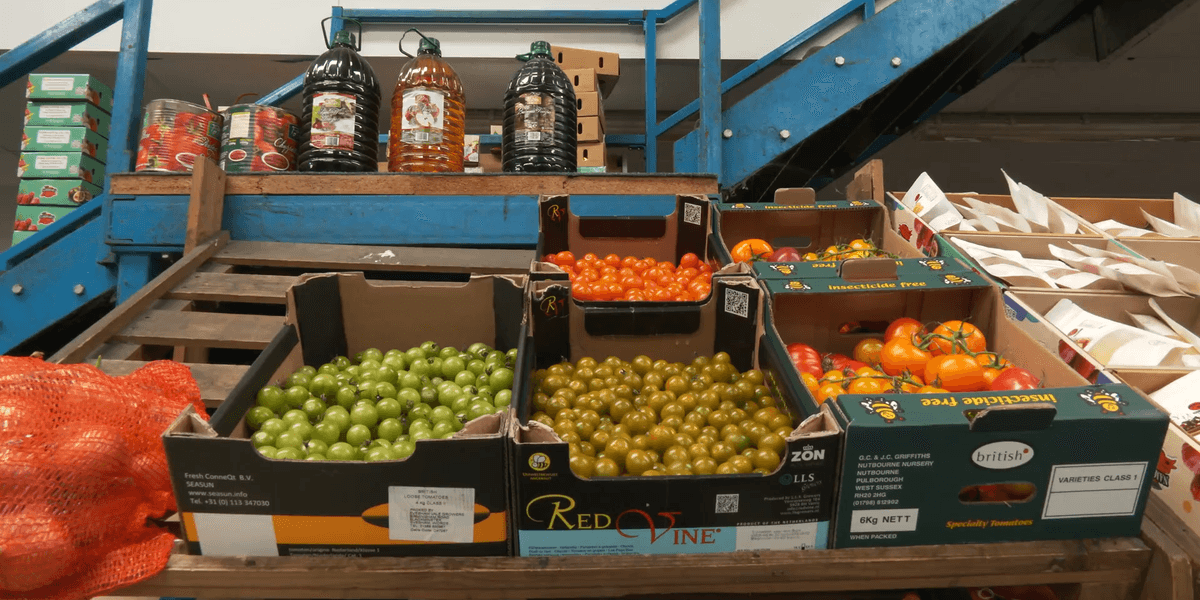 Scorching summer sparks harvest fears as Sussex fruit growers warn crops are 'cooking' on the trees