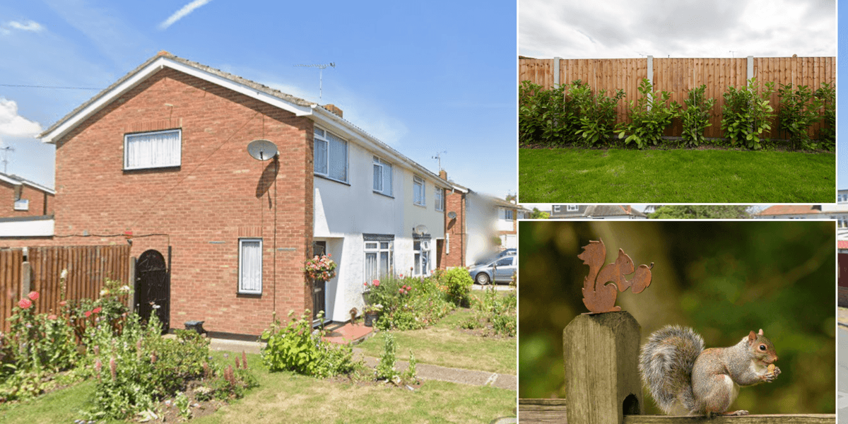Neighbour row erupts as couple racks up £150,000 legal bill over garden ornament