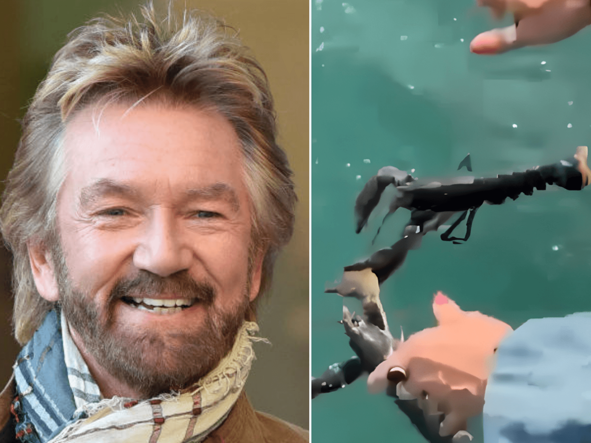 Noel Edmonds branded 'clueless' as he sparks fury with 'cruel' live lobster video
