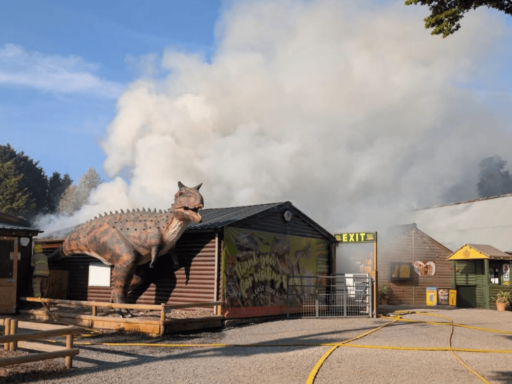 Animals killed and staff left devastated as fire rips through 'Britain's second-best zoo'