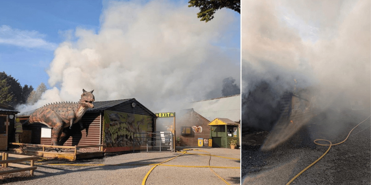 Animals killed and staff left devastated as fire rips through 'Britain's second-best zoo'