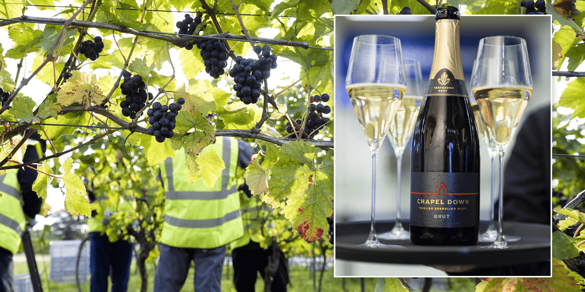 English sparkling wine could snatch fizz crown from France after