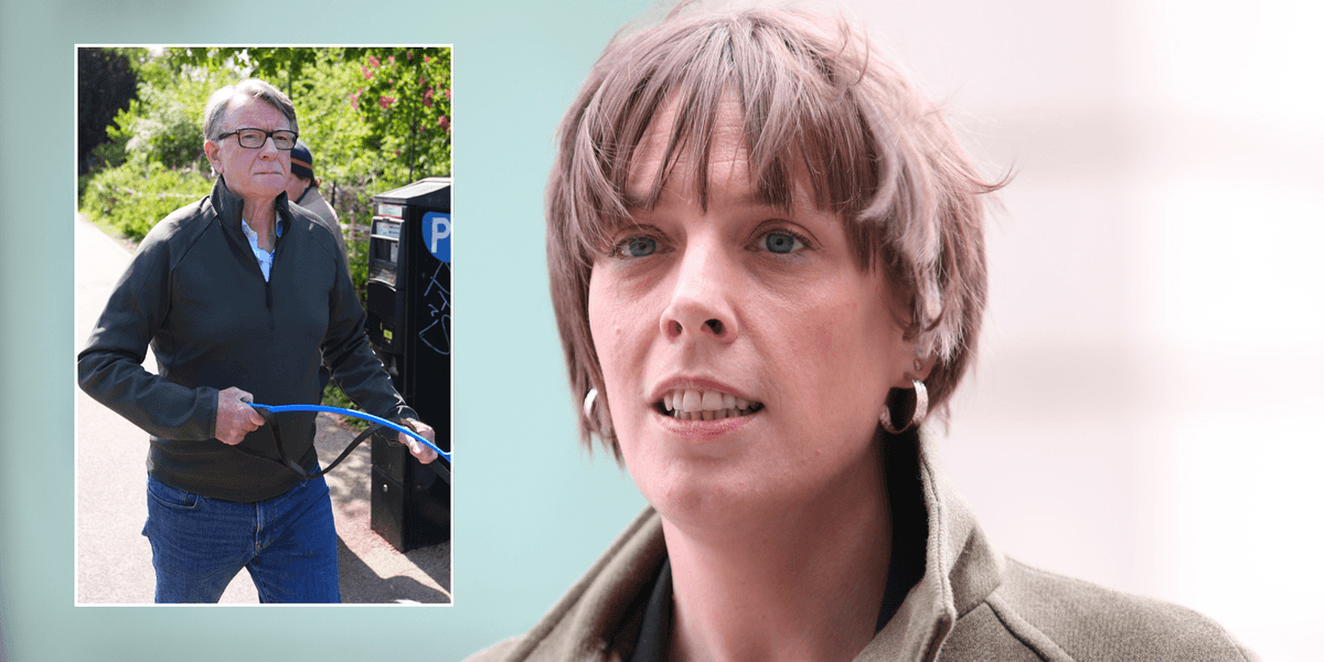 Jess Phillips admits she pulled sickie to dodge MPs' questions on Lord Mandelson