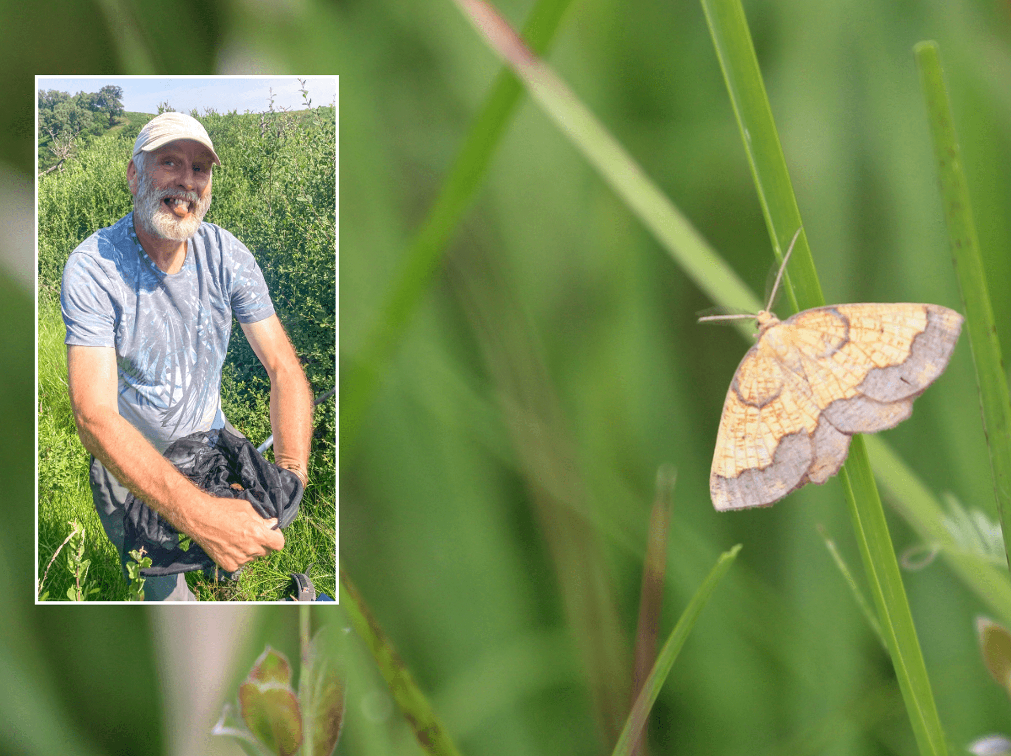 Briton discovers 'hidden species' in unexpected location after spending his life hunting it down
