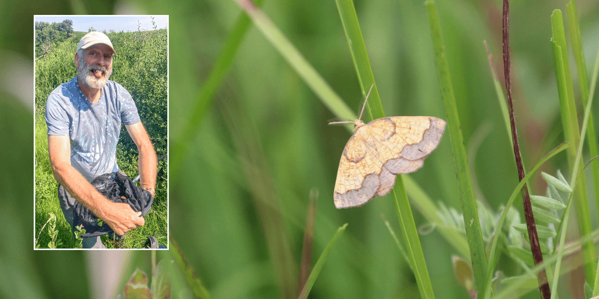 Briton discovers 'hidden species' in unexpected location after spending his life hunting it down