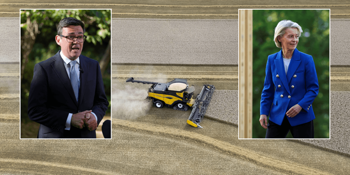 Drought-resistant crops set to be banned under Labour's EU reset deal as Brussels to impose will on Andy Burnham