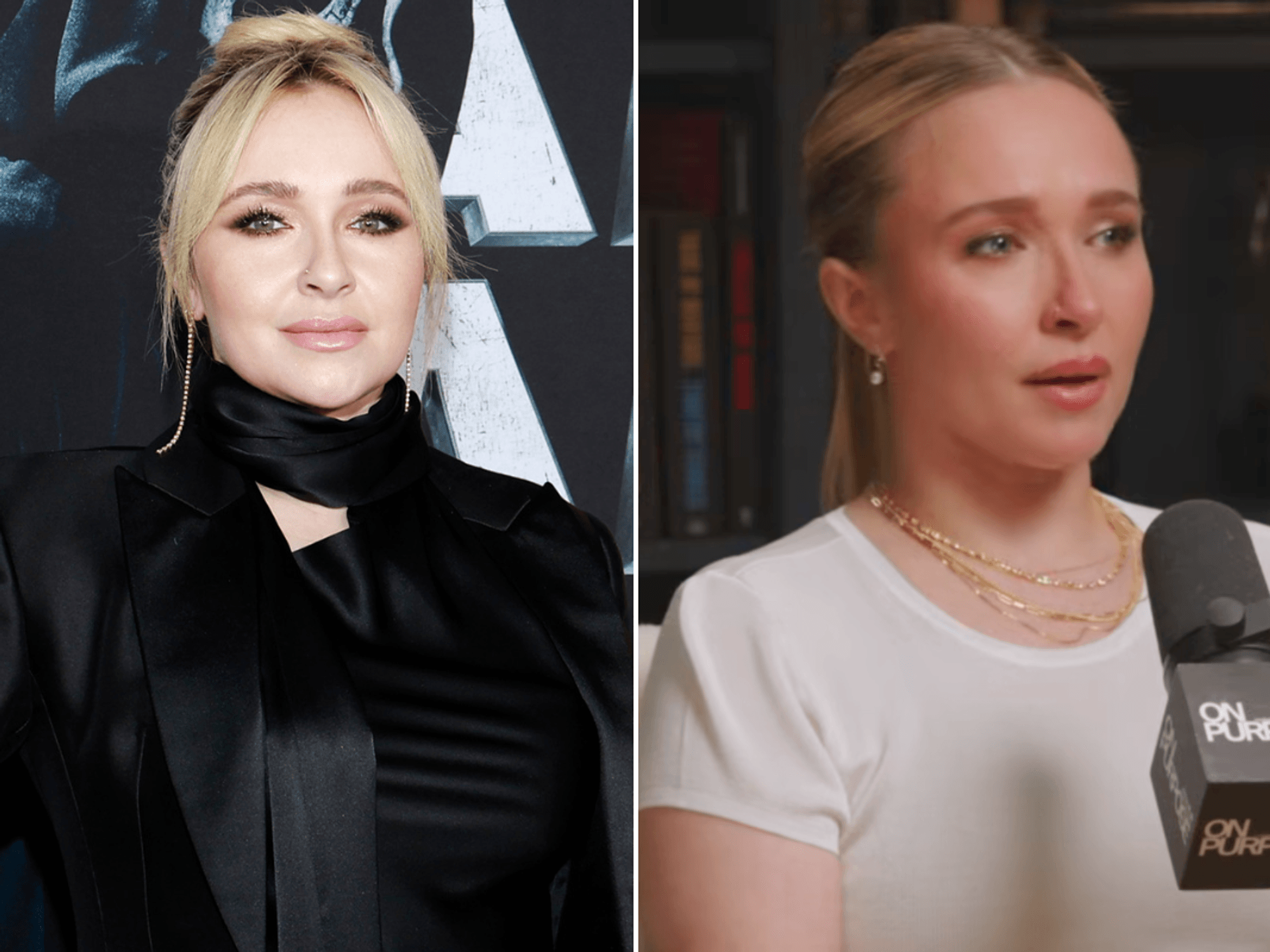 Hayden Panettiere made heartbreaking custody revelation in final interview before her death