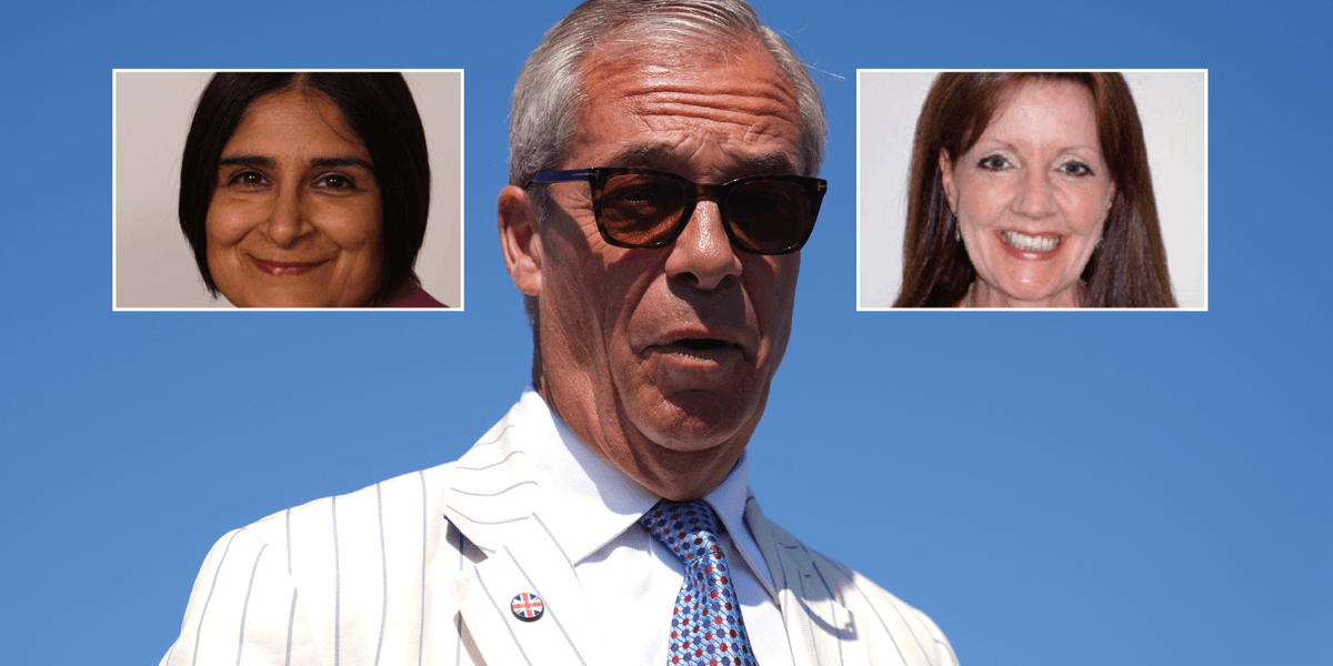 'Kangaroo court’ investigating Nigel Farage includes refugee charity trustee and Brexit critic